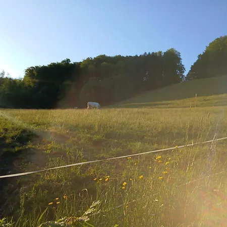 Dirnbergerhof * Mondsee