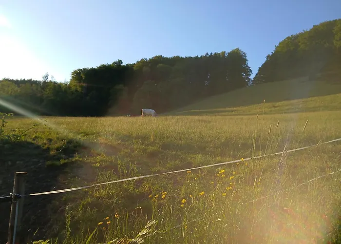 Dirnbergerhof * موندزي